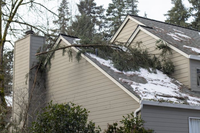 A fallen tree branch on the roof of a house after a severe winter snowstorm.