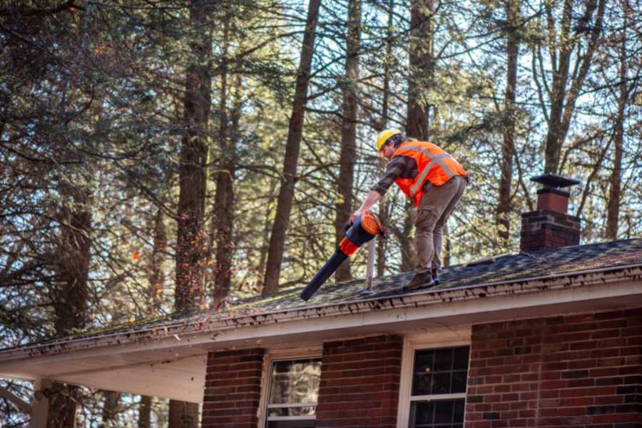 Roof cleaning process with blower to keep shingles clean and clear
